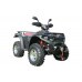 PNEU ATV BIGHORN 2.0 AT 25X10R12 MAXXIS F 